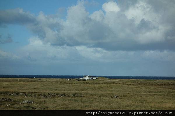 DSC01800 (800x533) DSC01800 (800x533)