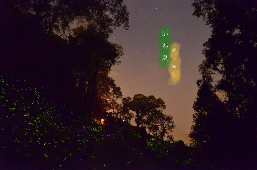 那瑪夏賞螢,八八風災,小林村,甲仙芋頭冰,錫安山,日本神社遺址,民權國小,高雄,那瑪夏鄉,螢火蟲,懶人包,遺跡,森林小學,大峽谷,一日遊