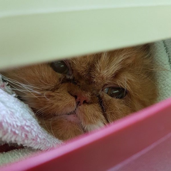 1544754532-3604169211_n.jpg 1544754532-3604169211_n.jpg