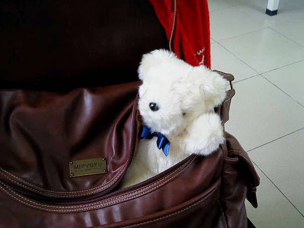 bear2_0517 bear2_0517