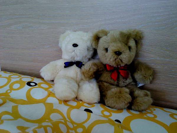 bears_0517 bears_0517