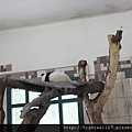 20110713-20.jpg