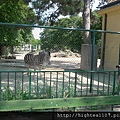 20110713-39.jpg