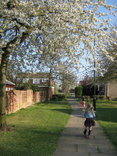 20090421-1.jpg 20090421-1.jpg