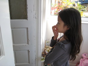 20090927-3.jpg 20090927-3.jpg