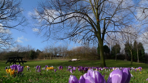 20100319-1.jpg 20100319-1.jpg