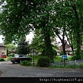 20110513-2.jpg