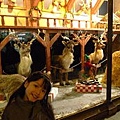 20101216-27.jpg