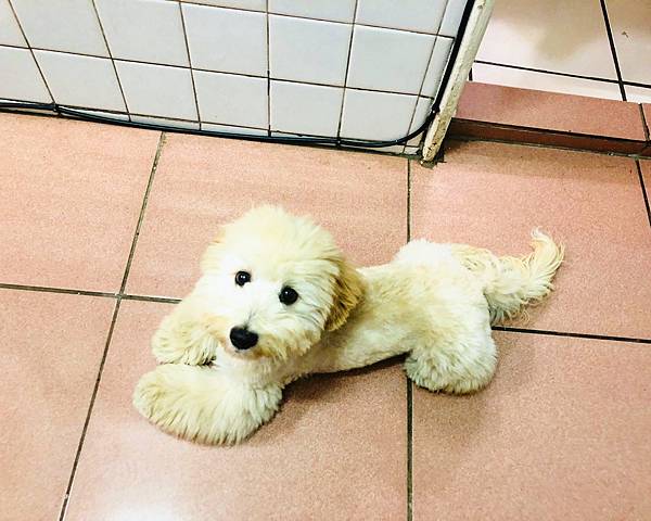 IMG_8208.JPG IMG_8208.JPG