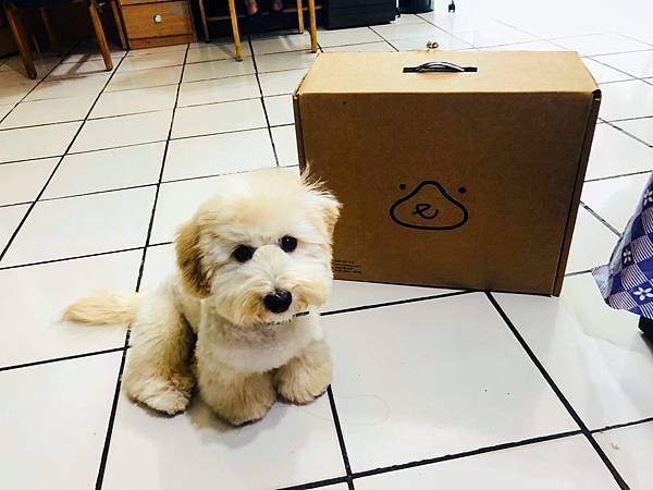 IMG_8464.JPG IMG_8464.JPG