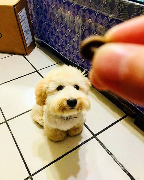 IMG_8482.JPG IMG_8482.JPG