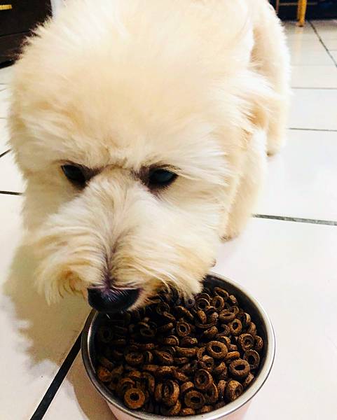 IMG_8474.JPG IMG_8474.JPG