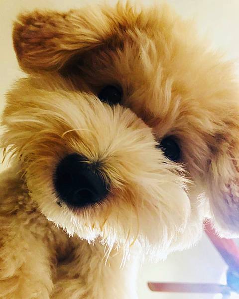 IMG_8294.JPG IMG_8294.JPG