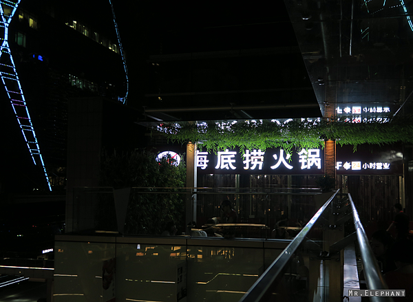 IMG_6988 IMG_6988