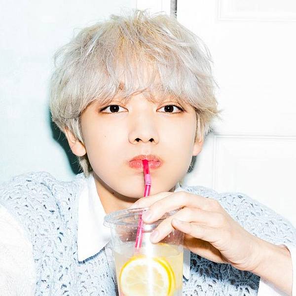 [安利]小說般的大型神企畫!「君の花になる」期間限定男團8L