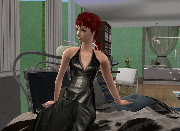 sims (67)