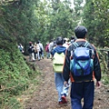 夢幻湖旁產業道路