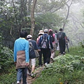 雲霧濕氣頗重