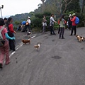 好多小狗（猴山岳土雞城到了）