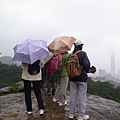 風雨中就是要來登高