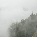 濕氣很重的雲霧