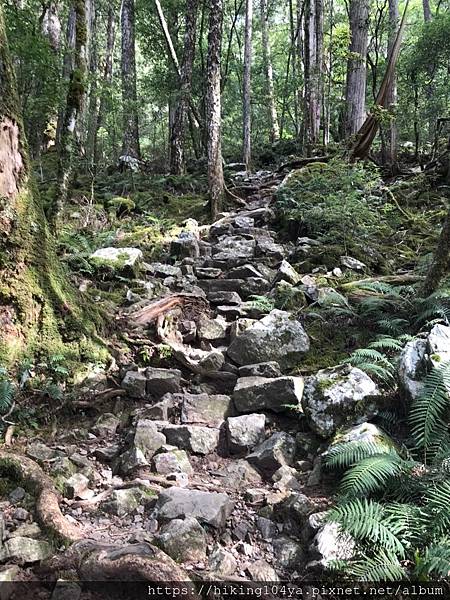 20200502-04大小霸_200505_0091.jpg 20200502-04大小霸_200505_0091.jpg