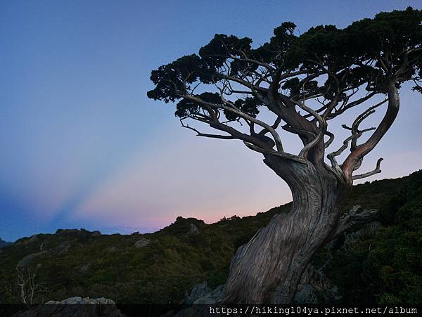 P1180133.JPG P1180133.JPG