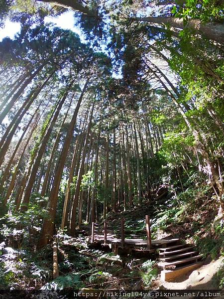 2020228_200922_1_0.jpg 2020228_200922_1_0.jpg