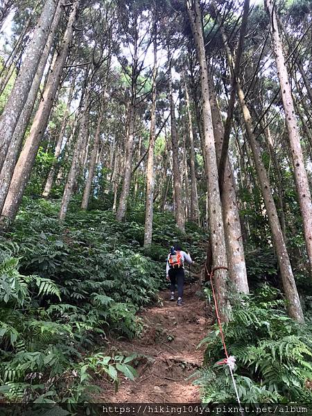 line_47977054979760.jpg line_47977054979760.jpg