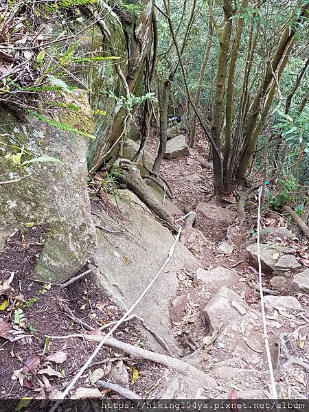 20200229_114122.jpg 20200229_114122.jpg