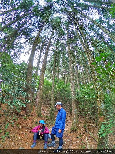 [遊記用] 鳶嘴稍來山_200926_22.jpg