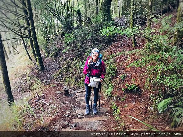 DAY 1 雪山東峰_201007_5.jpg DAY 1 雪山東峰_201007_5.jpg