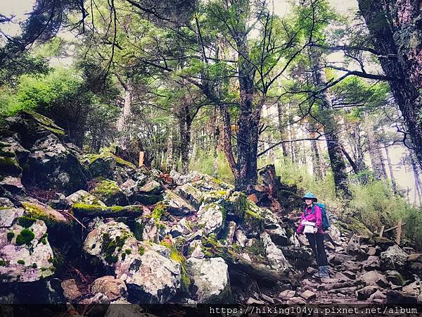 DAY 1 雪山東峰_201007_13.jpg DAY 1 雪山東峰_201007_13.jpg