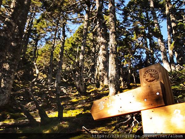 DAY 2 雪山主峰_201007_51.jpg DAY 2 雪山主峰_201007_51.jpg