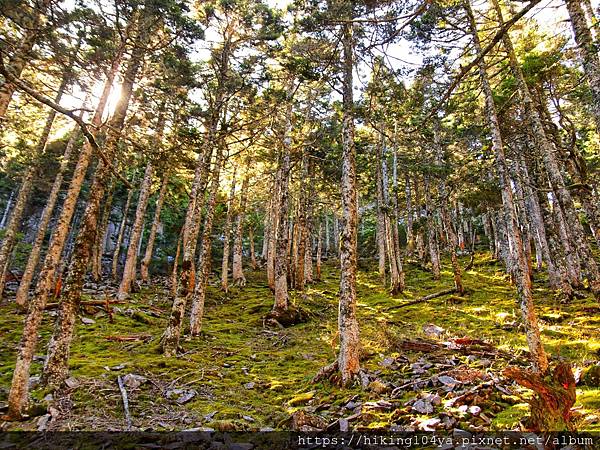 DAY 2 雪山主峰_201007_41.jpg DAY 2 雪山主峰_201007_41.jpg