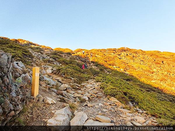 DAY 2 雪山主峰_201007_69.jpg DAY 2 雪山主峰_201007_69.jpg