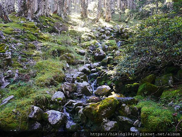 P1180437.JPG P1180437.JPG