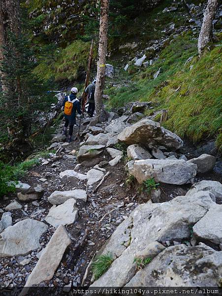 P1180439.JPG P1180439.JPG