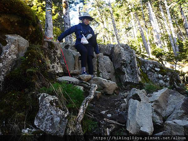 P1180440.JPG P1180440.JPG