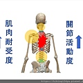 gyro胸椎運動IG衛教_201027_5.jpg