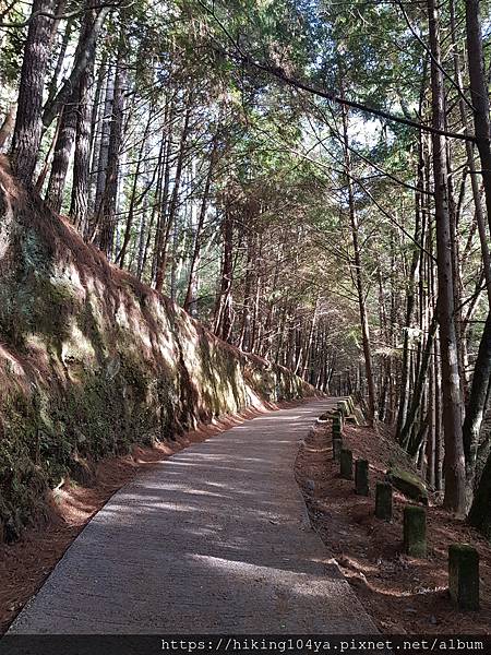 20201127_074710.jpg 20201127_074710.jpg