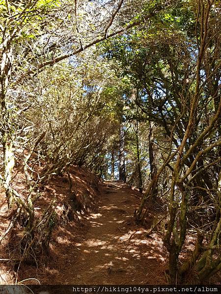 20201127_111852.jpg 20201127_111852.jpg