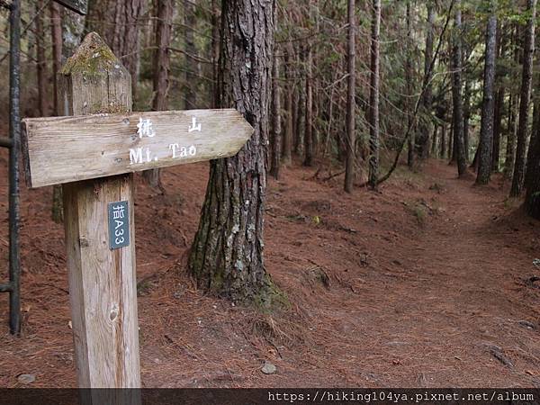 DAY1_201130_38.jpg DAY1_201130_38.jpg