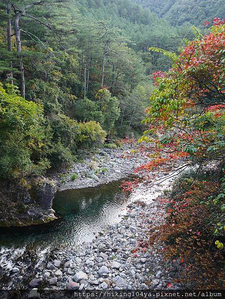 P1180518.JPG P1180518.JPG