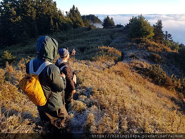 20201128_063052.jpg 20201128_063052.jpg