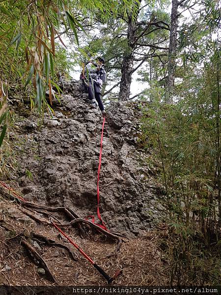 20201128_133728.jpg 20201128_133728.jpg