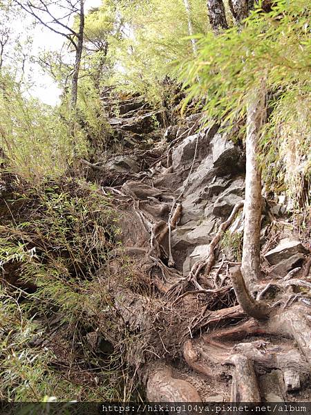 DAY2_201130_20.jpg DAY2_201130_20.jpg