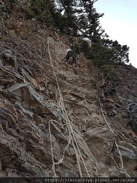 20201129_062901.jpg 20201129_062901.jpg