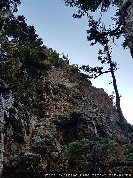 20201129_072047.jpg 20201129_072047.jpg