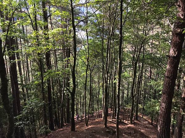 DAY1_201130_55.jpg DAY1_201130_55.jpg